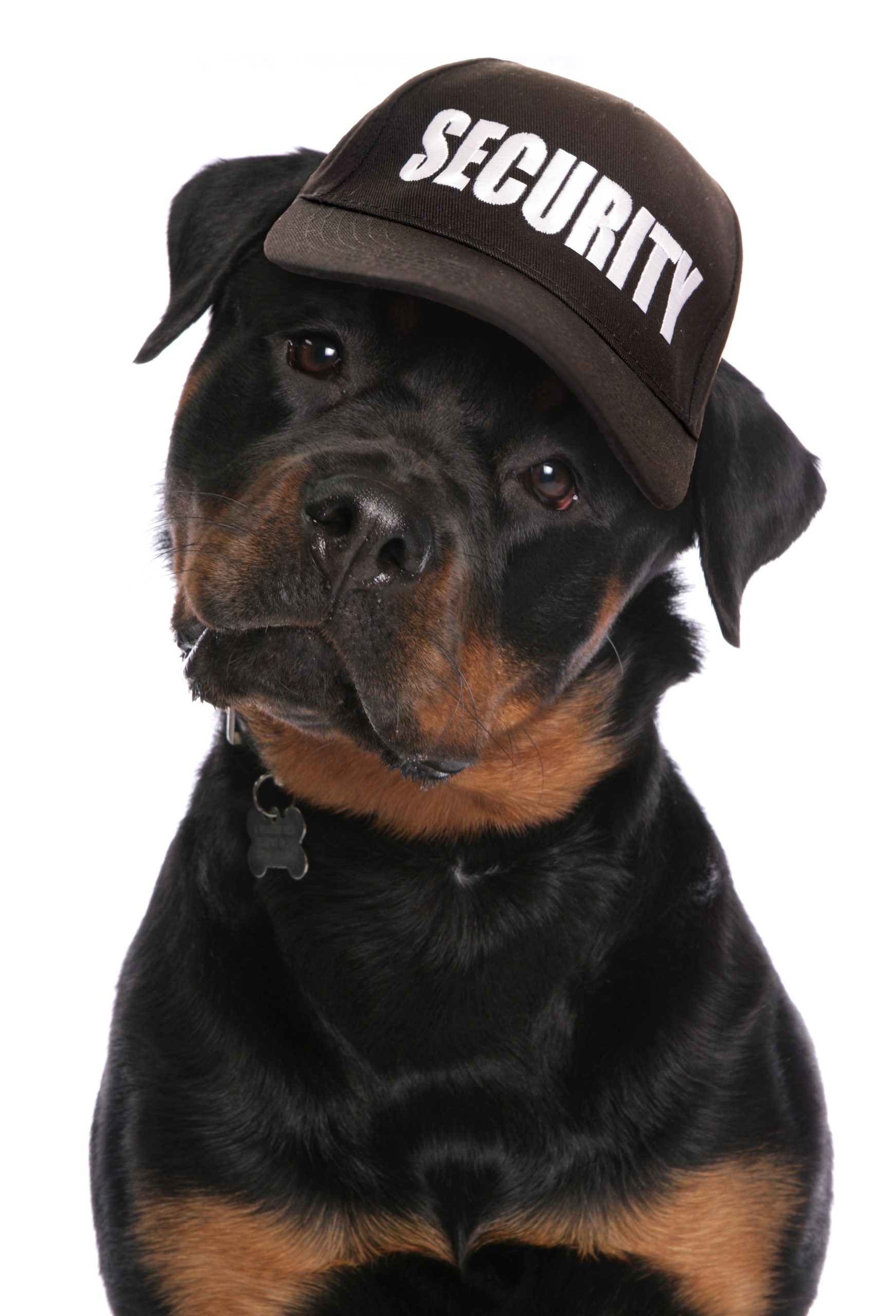 Which is better for home security, an alarm or CCTV?